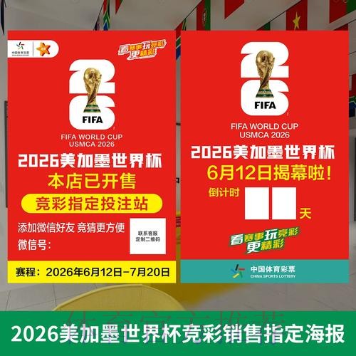 2026世界杯投注顶级策略深度解读